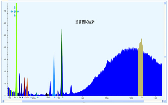 ��ʨ�����(�й�)���޹�˾-Official website