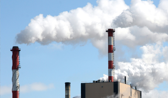 ��ʨ�����(�й�)���޹�˾-Official website