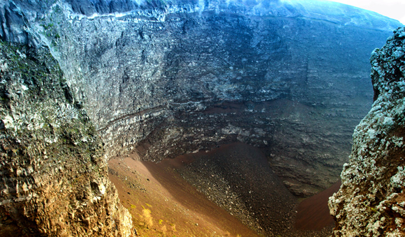 ��ʨ�����(�й�)���޹�˾-Official website