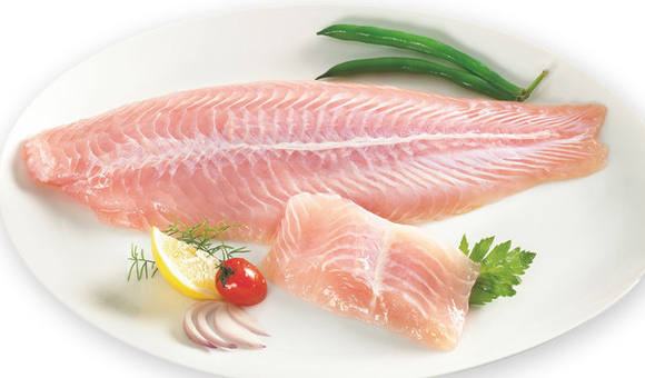 ��ʨ�����(�й�)���޹�˾-Official website