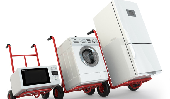 ��ʨ�����(�й�)���޹�˾-Official website