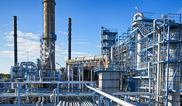 ��ʨ�����(�й�)���޹�˾-Official website