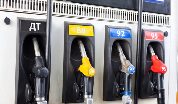 ��ʨ�����(�й�)���޹�˾-Official website