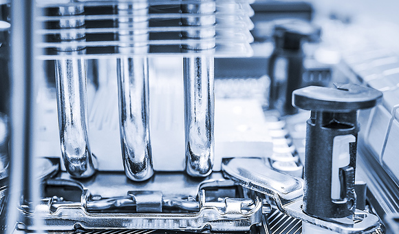 ��ʨ�����(�й�)���޹�˾-Official website