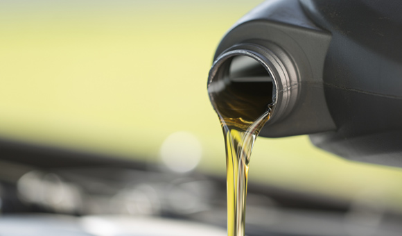 ��ʨ�����(�й�)���޹�˾-Official website