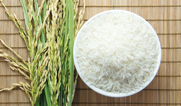 ��ʨ�����(�й�)���޹�˾-Official website