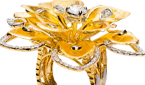 ��ʨ�����(�й�)���޹�˾-Official website