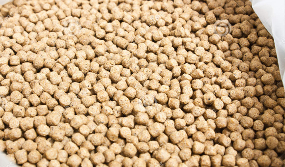 ��ʨ�����(�й�)���޹�˾-Official website