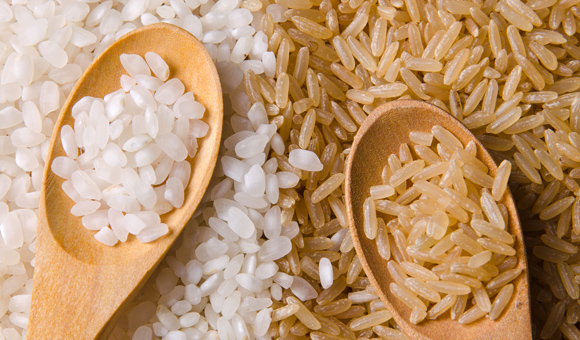 ��ʨ�����(�й�)���޹�˾-Official website