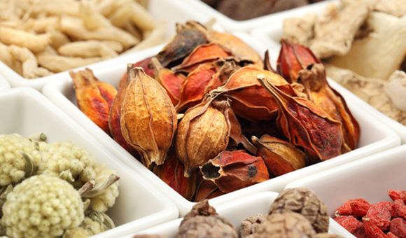 ��ʨ�����(�й�)���޹�˾-Official website