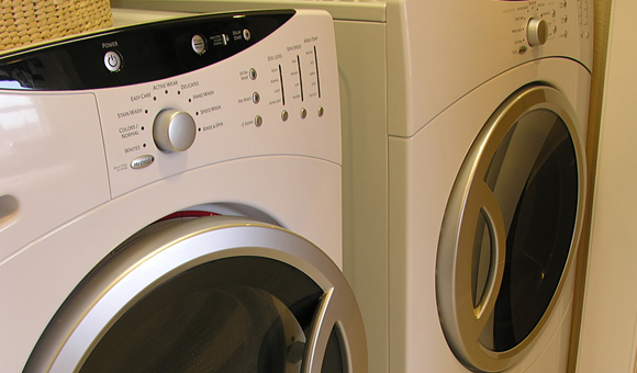 ��ʨ�����(�й�)���޹�˾-Official website