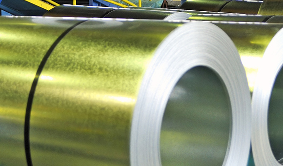 ��ʨ�����(�й�)���޹�˾-Official website