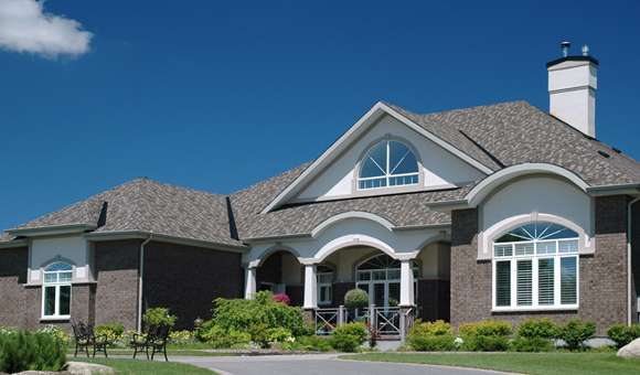 ��ʨ�����(�й�)���޹�˾-Official website