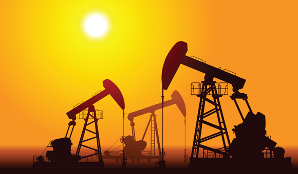 ��ʨ�����(�й�)���޹�˾-Official website