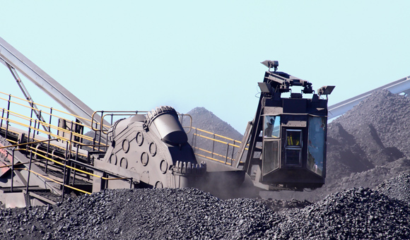 ��ʨ�����(�й�)���޹�˾-Official website