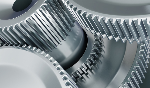 ��ʨ�����(�й�)���޹�˾-Official website