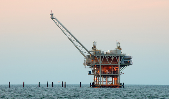 ��ʨ�����(�й�)���޹�˾-Official website