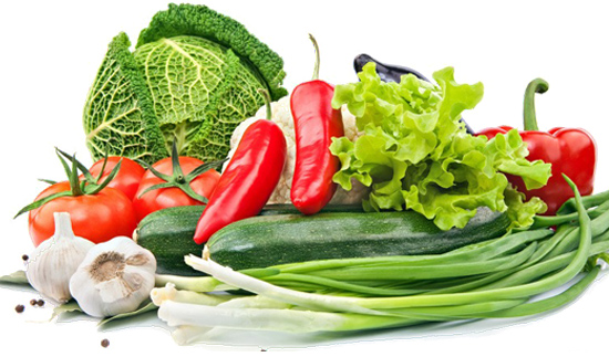 ��ʨ�����(�й�)���޹�˾-Official website