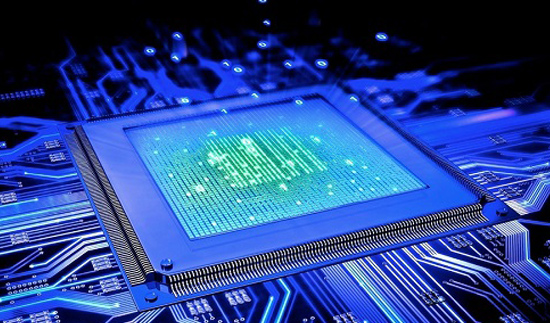 ��ʨ�����(�й�)���޹�˾-Official website