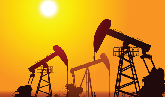 ��ʨ�����(�й�)���޹�˾-Official website