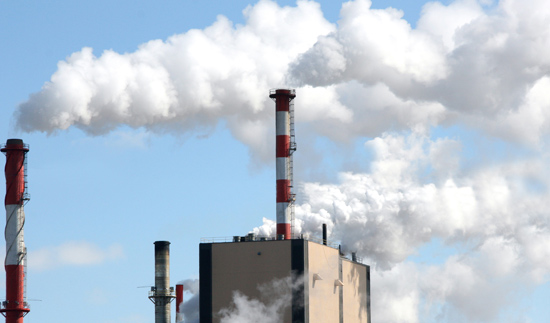 ��ʨ�����(�й�)���޹�˾-Official website