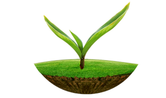 ��ʨ�����(�й�)���޹�˾-Official website