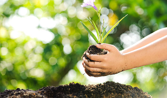 ��ʨ�����(�й�)���޹�˾-Official website