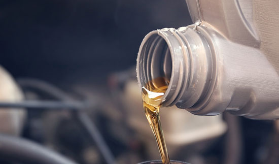 ��ʨ�����(�й�)���޹�˾-Official website