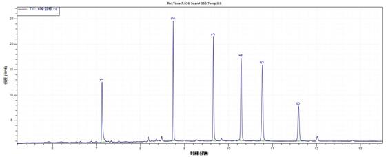 ��ʨ�����(�й�)���޹�˾-Official website