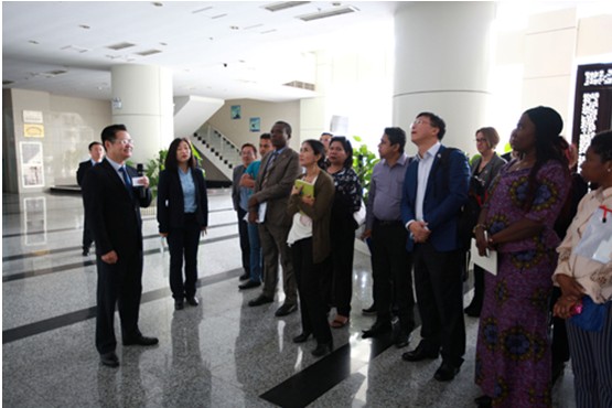 ��ʨ�����(�й�)���޹�˾-Official website