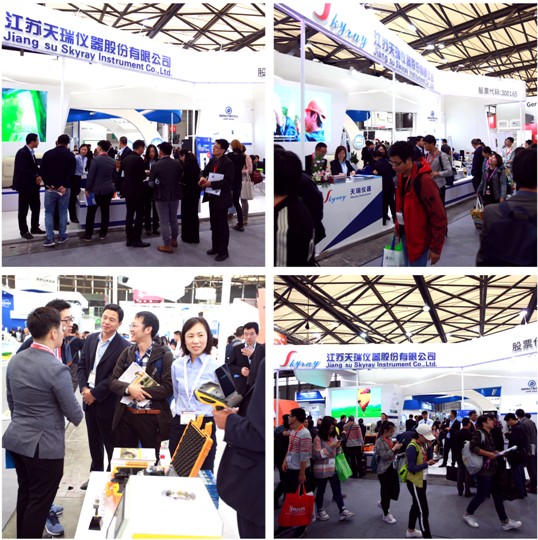 ��ʨ�����(�й�)���޹�˾-Official website