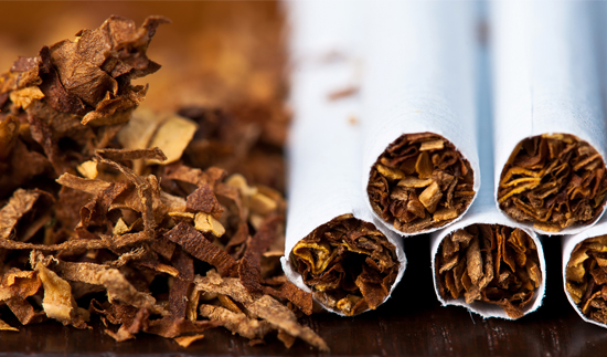 ��ʨ�����(�й�)���޹�˾-Official website