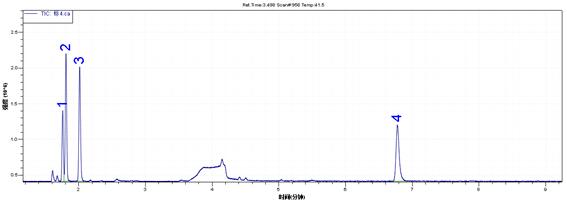 ��ʨ�����(�й�)���޹�˾-Official website