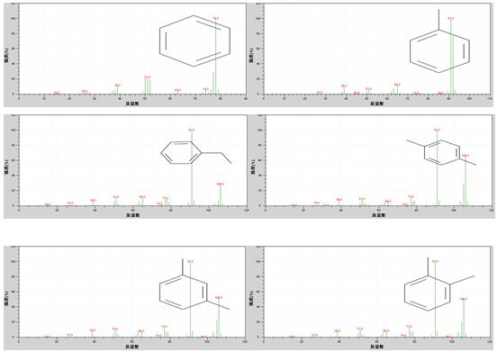 ��ʨ�����(�й�)���޹�˾-Official website