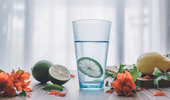 ��ʨ�����(�й�)���޹�˾-Official website