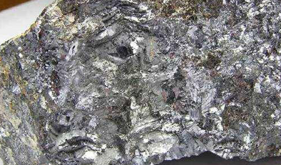 ��ʨ�����(�й�)���޹�˾-Official website