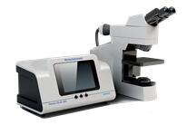 ��ʨ�����(�й�)���޹�˾-Official website