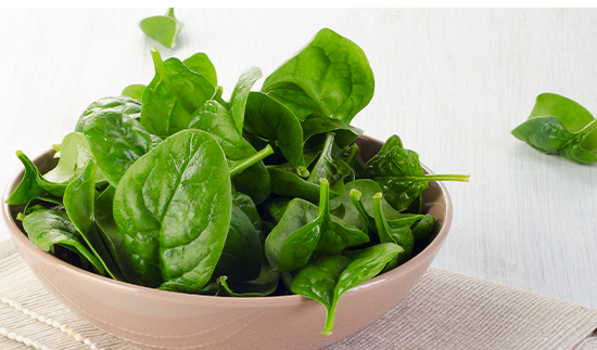 ��ʨ�����(�й�)���޹�˾-Official website