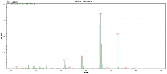 ��ʨ�����(�й�)���޹�˾-Official website