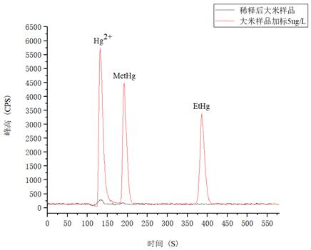 ��ʨ�����(�й�)���޹�˾-Official website