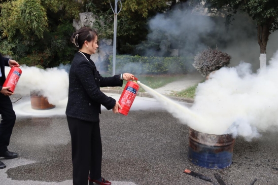 ��ʨ�����(�й�)���޹�˾-Official website