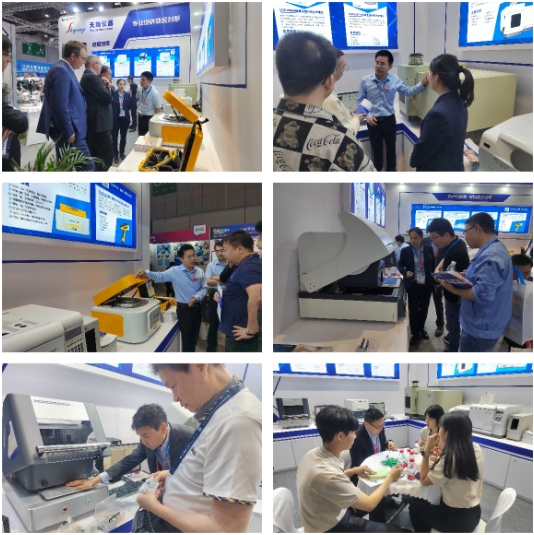 ��ʨ�����(�й�)���޹�˾-Official website