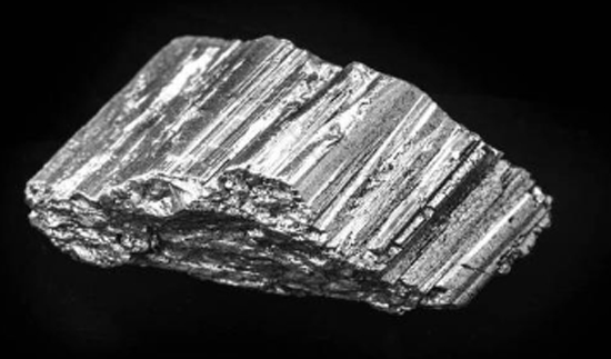 ��ʨ�����(�й�)���޹�˾-Official website