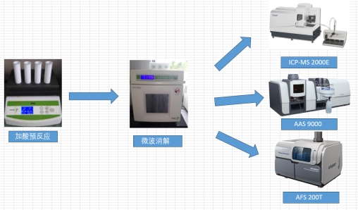 ��ʨ�����(�й�)���޹�˾-Official website