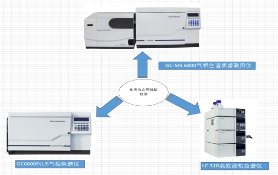 ��ʨ�����(�й�)���޹�˾-Official website