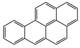 ��ʨ�����(�й�)���޹�˾-Official website