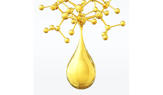 ��ʨ�����(�й�)���޹�˾-Official website