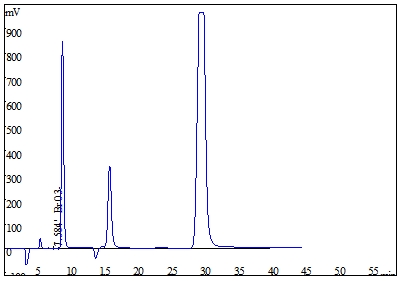 ��ʨ�����(�й�)���޹�˾-Official website