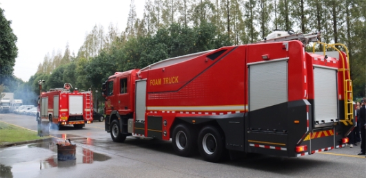 ��ʨ�����(�й�)���޹�˾-Official website