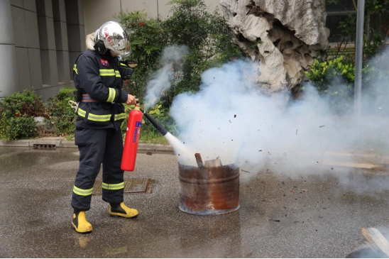 ��ʨ�����(�й�)���޹�˾-Official website